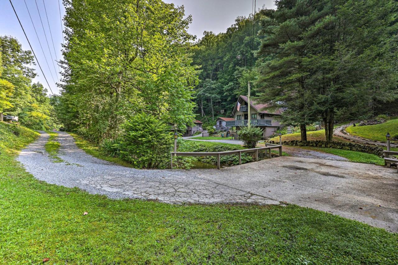 Creekside Roan Mountain Cabin Walk To Trails Bagian luar foto