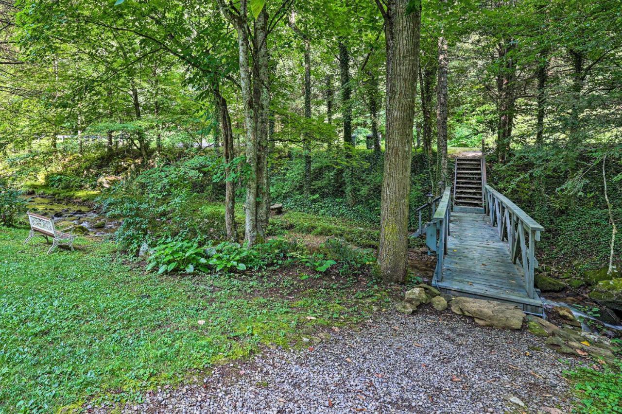 Creekside Roan Mountain Cabin Walk To Trails Bagian luar foto