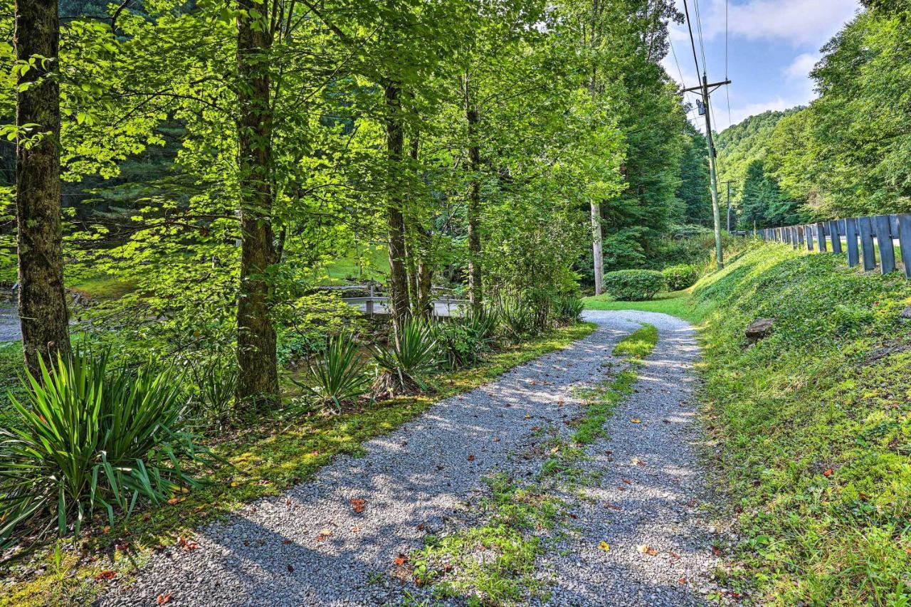 Creekside Roan Mountain Cabin Walk To Trails Bagian luar foto