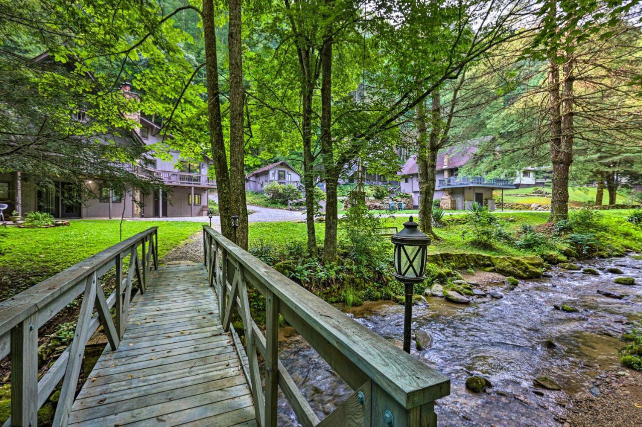 Creekside Roan Mountain Cabin Walk To Trails Bagian luar foto