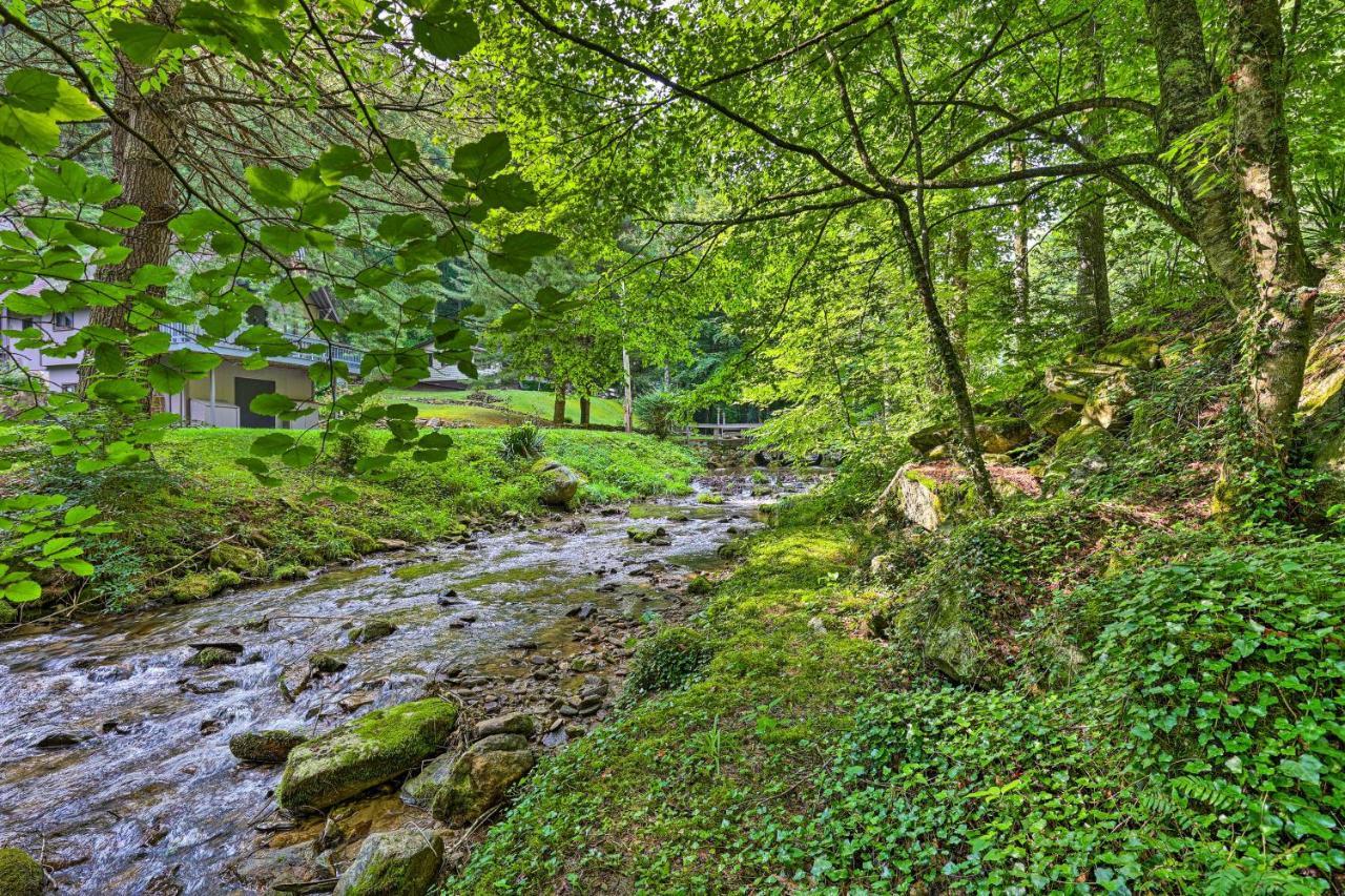 Creekside Roan Mountain Cabin Walk To Trails Bagian luar foto